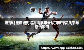 解析多伦多蓝鸟队如何利用全加拿大的市场支持在引援时反击美队